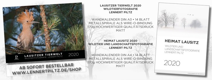 lennert kalender.jpg